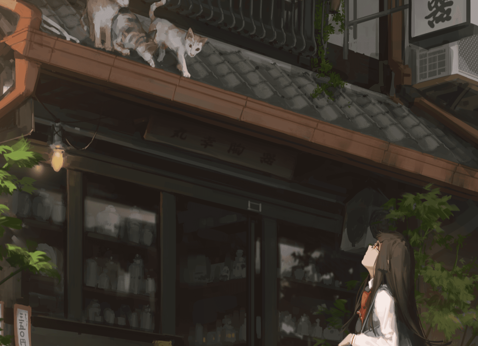 cover picture of mdaprem_dez