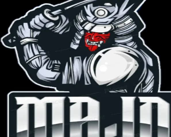 cover picture of majdigamer23