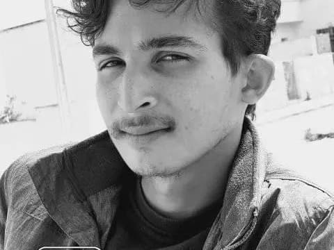 cover picture of soltani241998