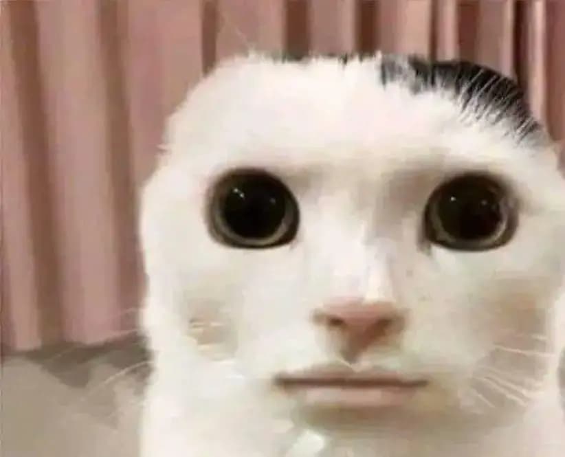 cover picture of Bidou