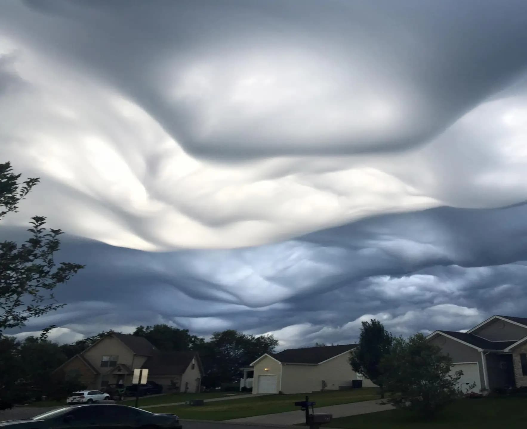 cover picture of mugen