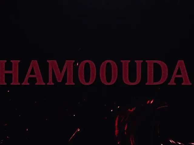 cover picture of HAM0UDA