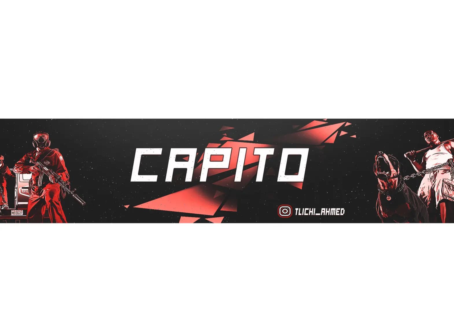cover picture of CAPITO