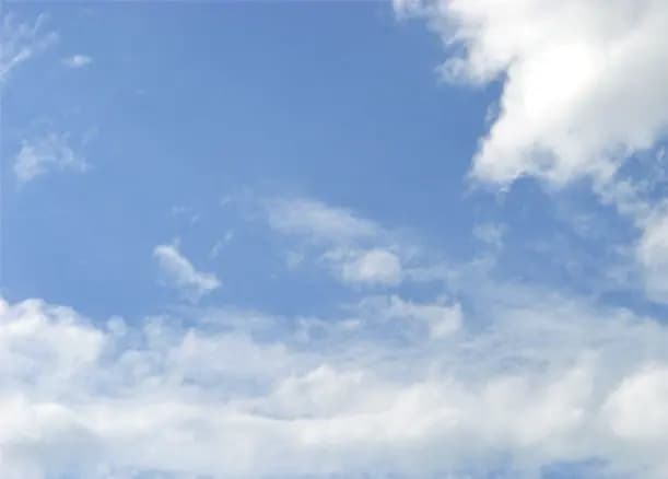 cover picture of Nartzie