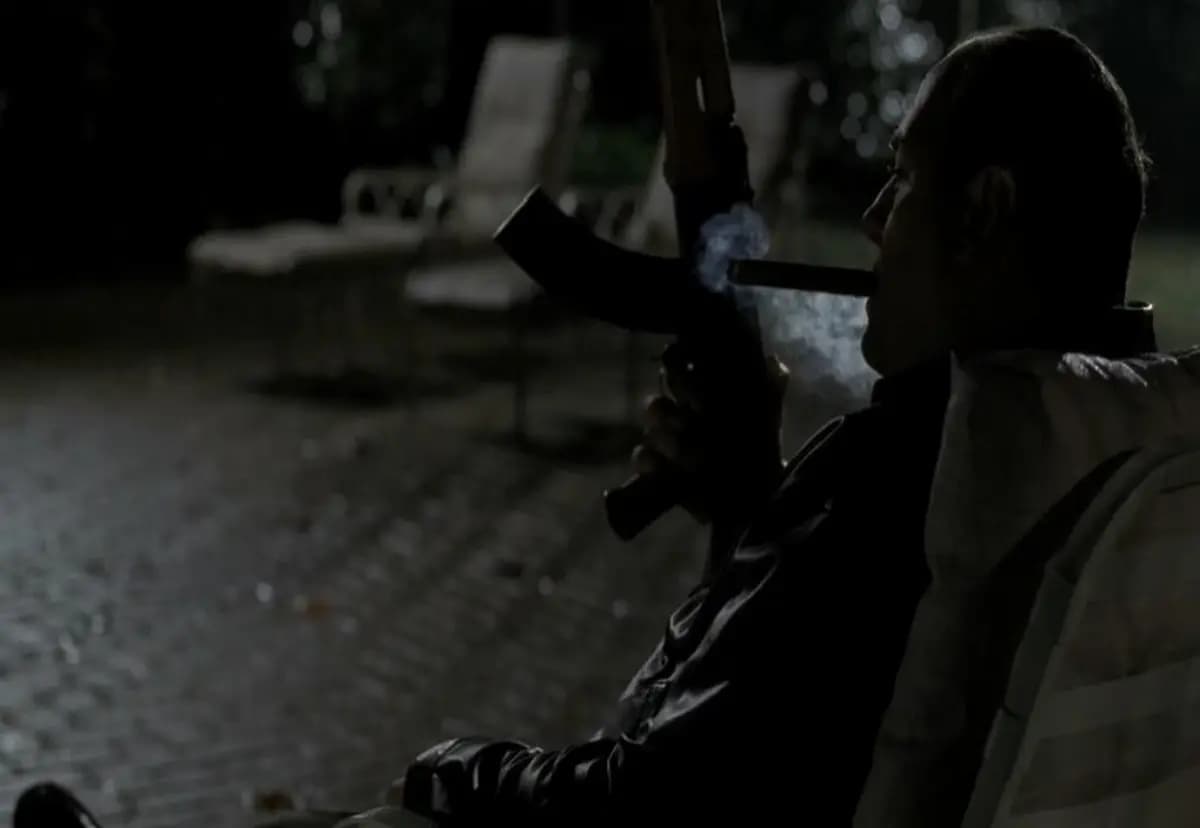 cover picture of GinzoTN