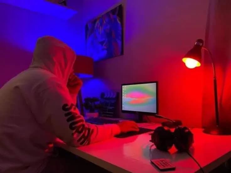 cover picture of Hamada1202