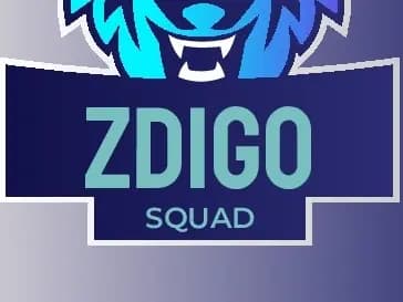 cover picture of ZDIGO