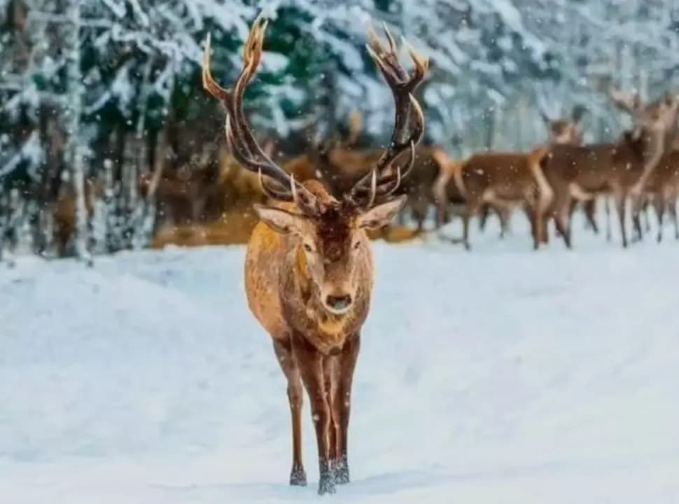 cover picture of hamaaaa10