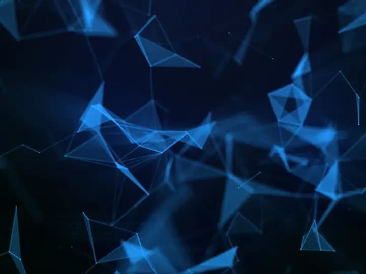 cover picture of ll_i_o_n