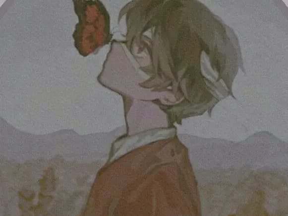 cover picture of brhyazheh