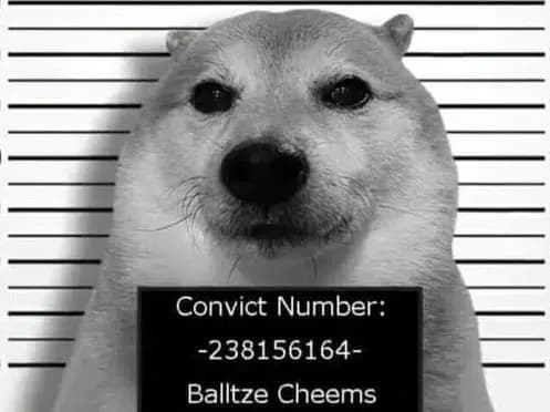 cover picture of whitebirra