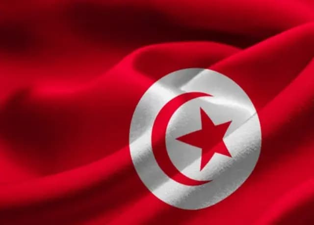 cover picture of Eltounsi