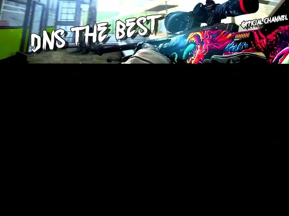 cover picture of DNSTheBest