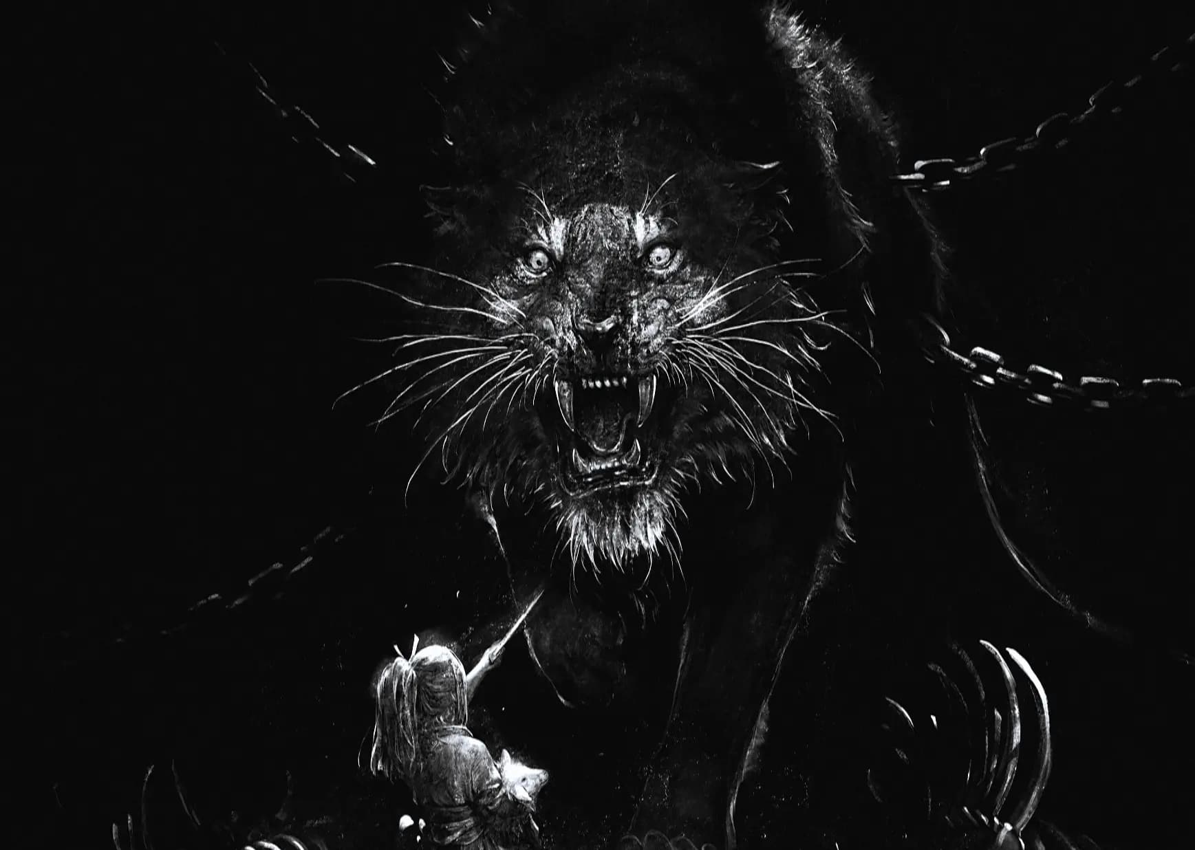 cover picture of ZRAAN