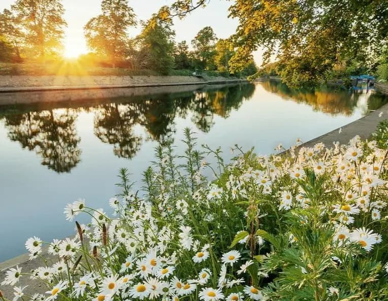 cover picture of bakariimanou