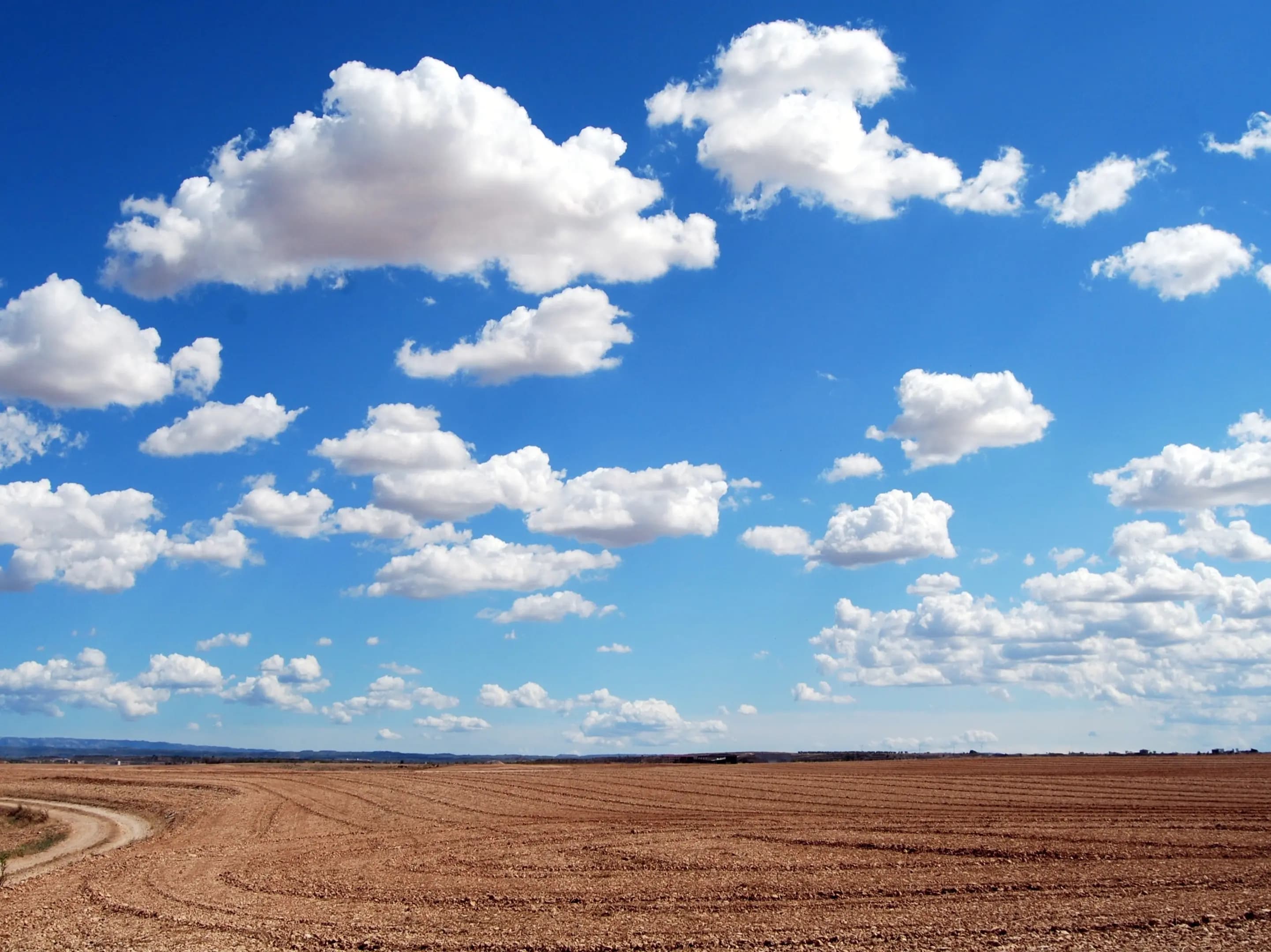 cover picture of Wazzup